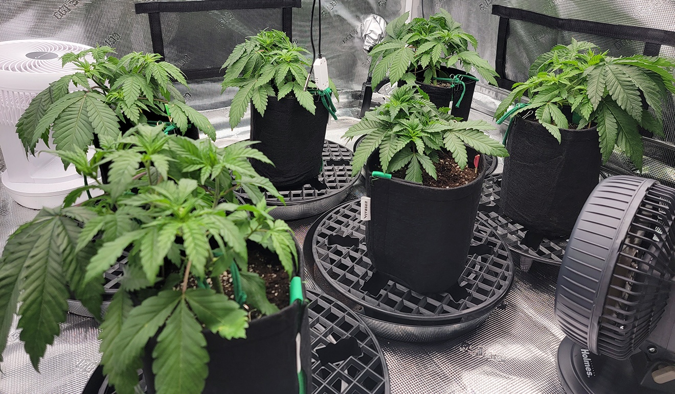 Tent045