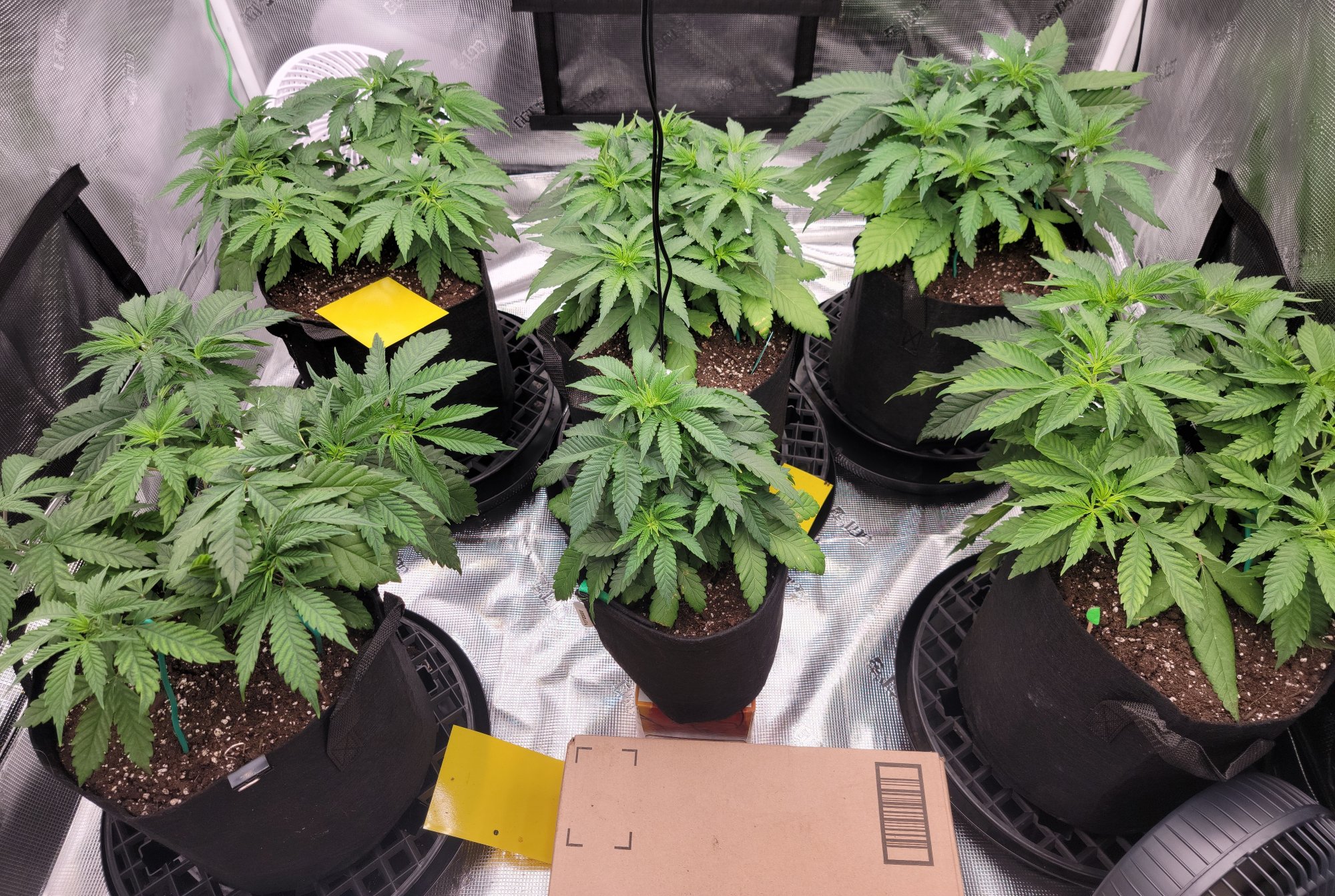 Tent058