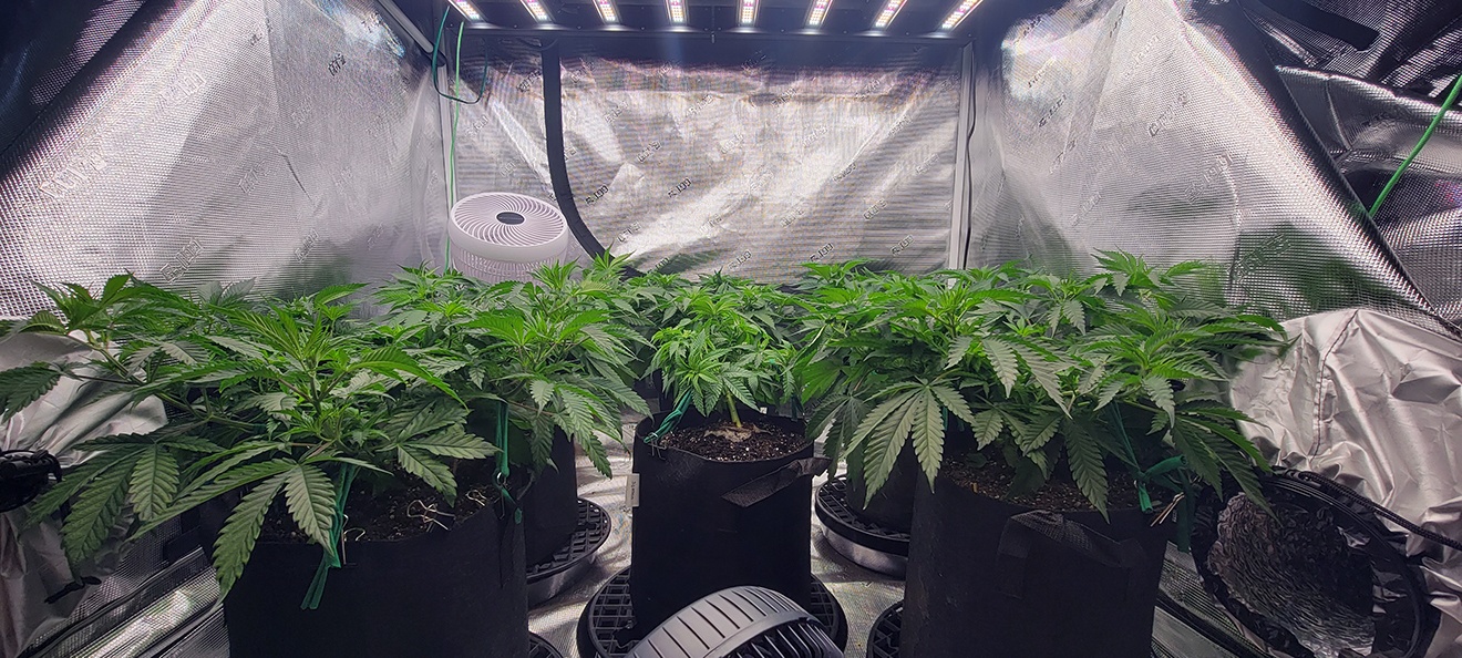 Tent072