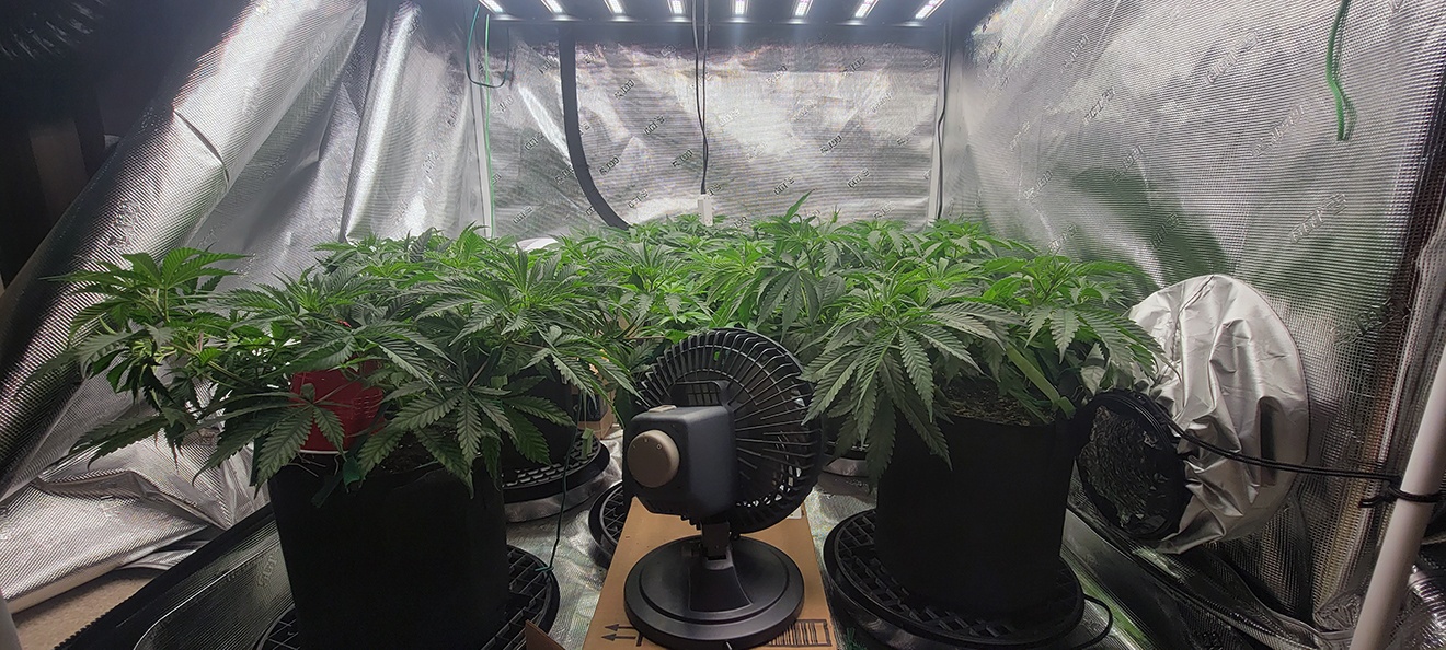 Tent080