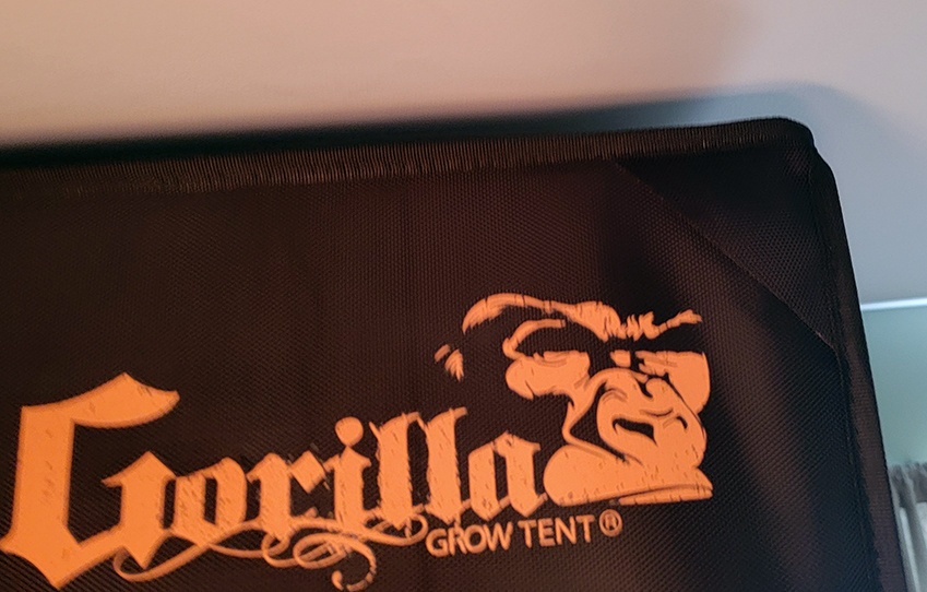 Tent1