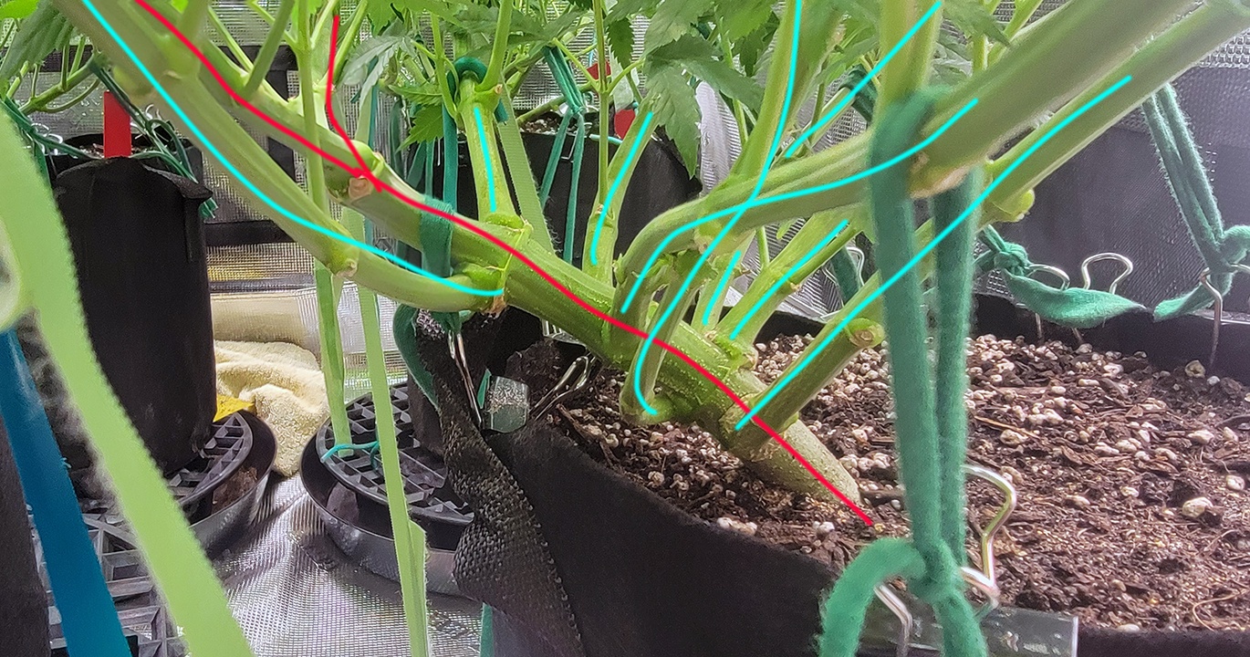 Tent103