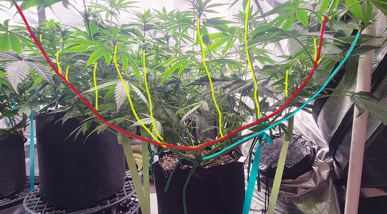 Tent105