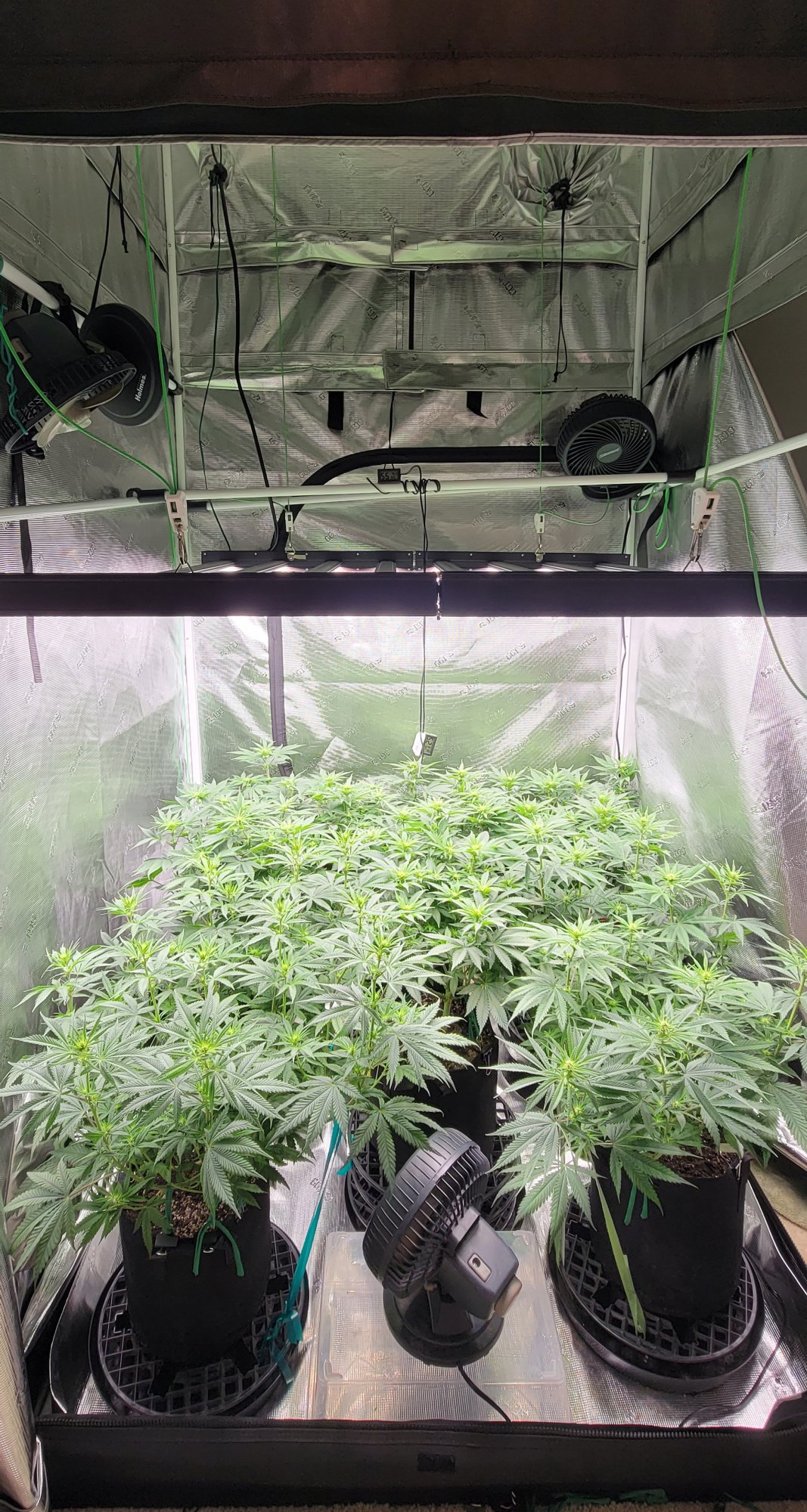 Tent112