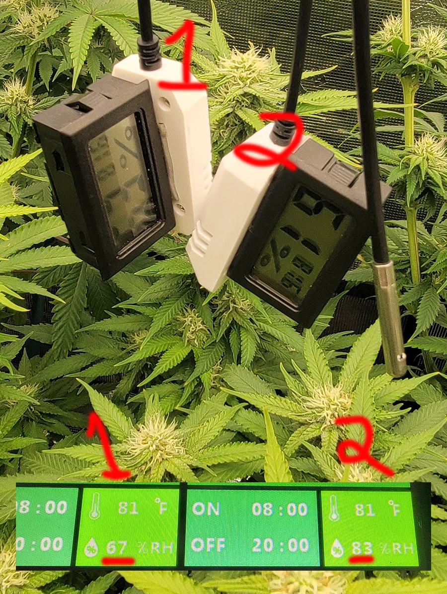 Tent135
