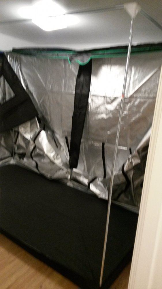 Tent2