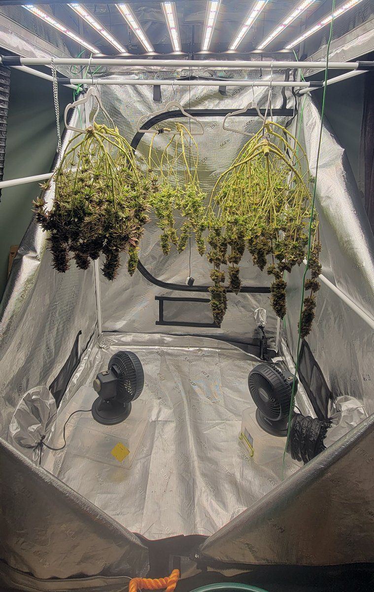 Tent277