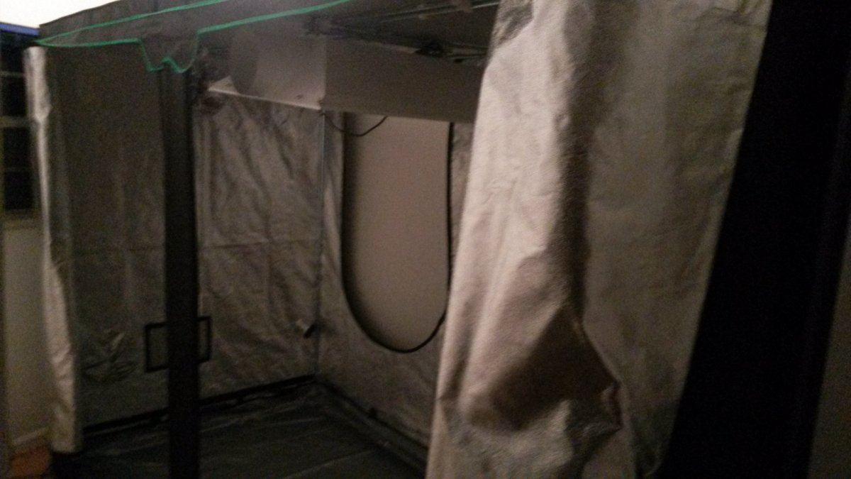 Tent4