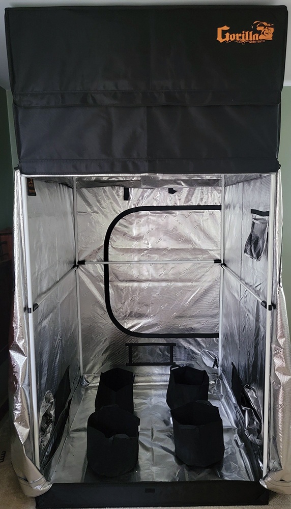 Tent5