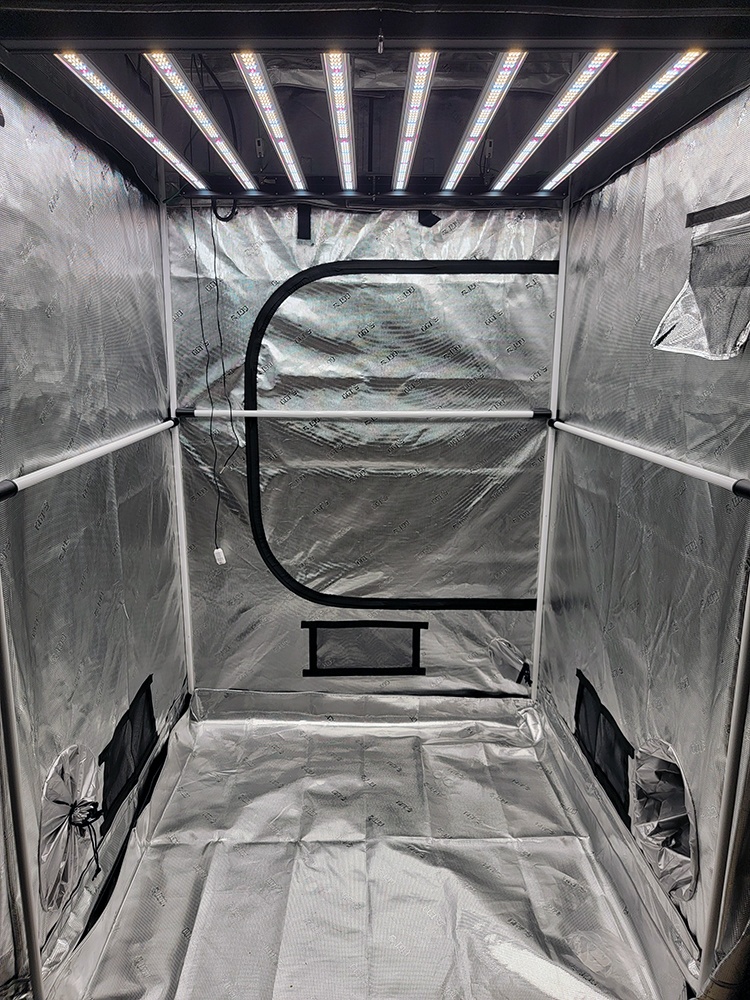 Tent6
