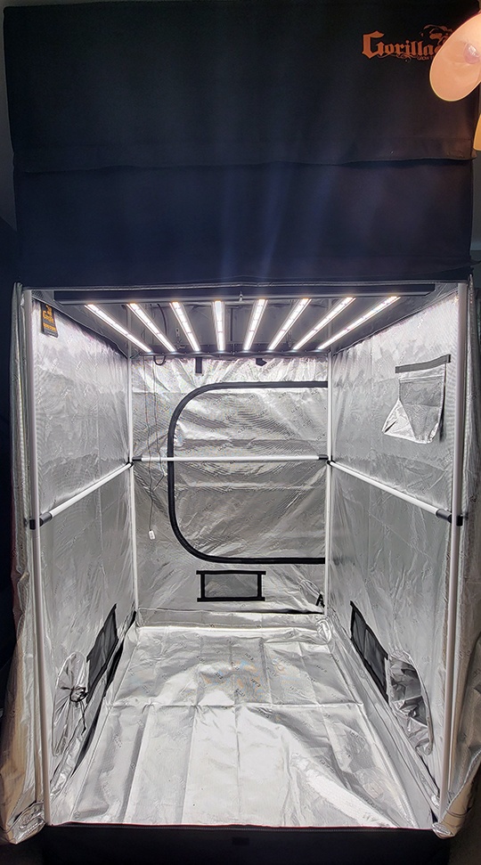 Tent9