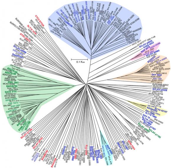 Terpenes1