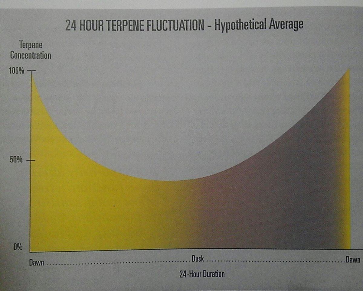 TerpineFlux