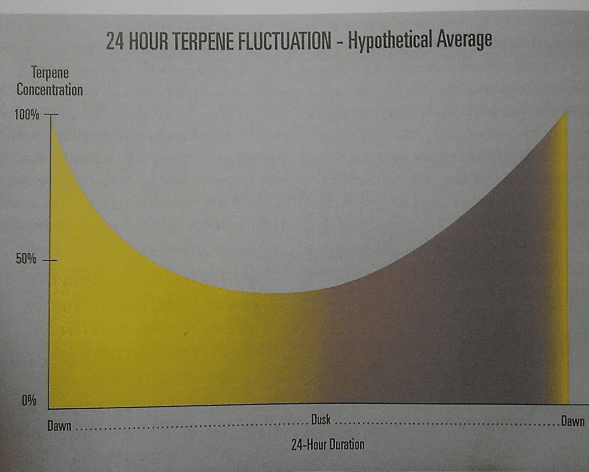 TerpineFlux