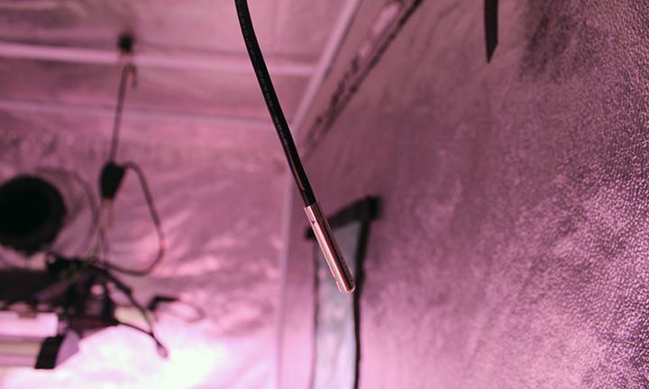 Terra7 Probe