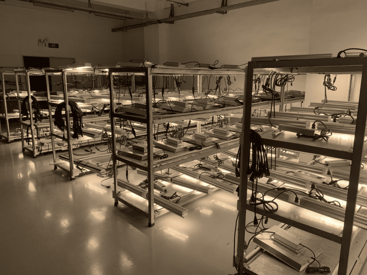 Test room01