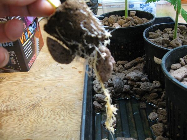 Testing 5 18 2012 267