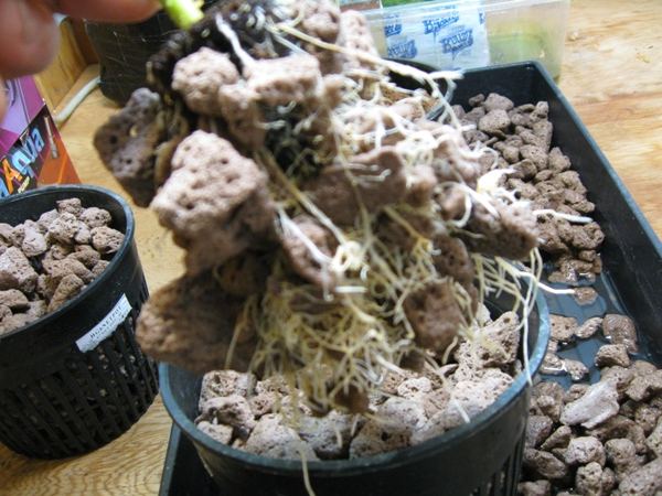 Testing 5 18 2012 269