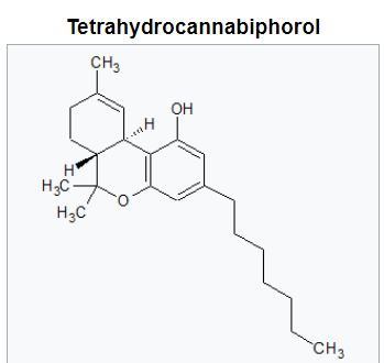 Tetrahydrocannabiphorol