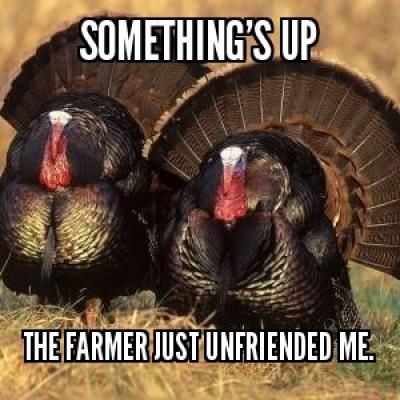 Thanksgiving Turkey Meme 11