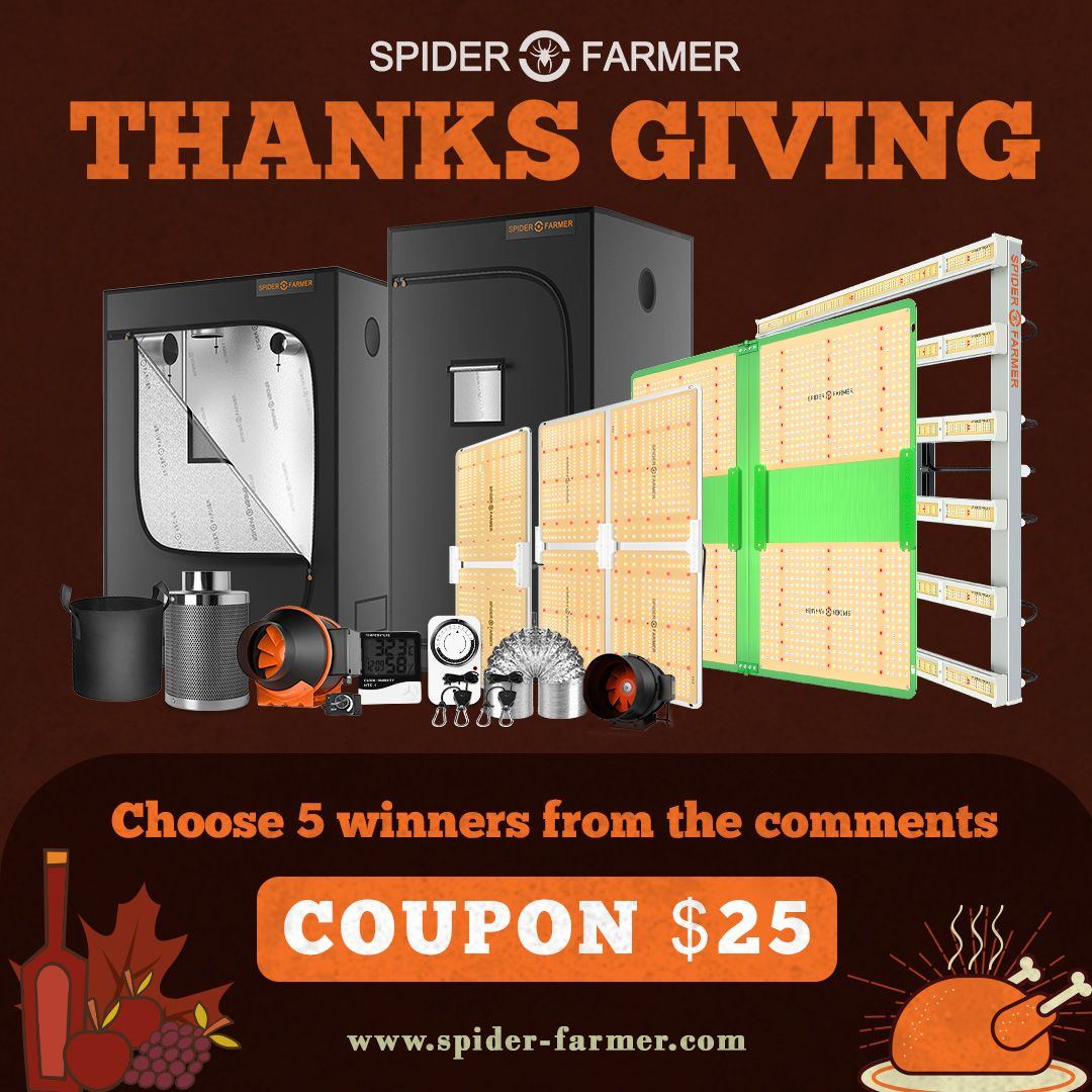 thanksgiving-web-jpg.1191559