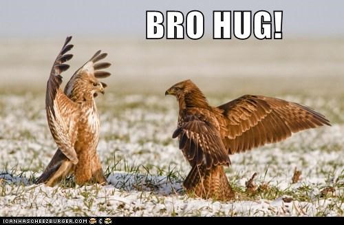 That feel bro