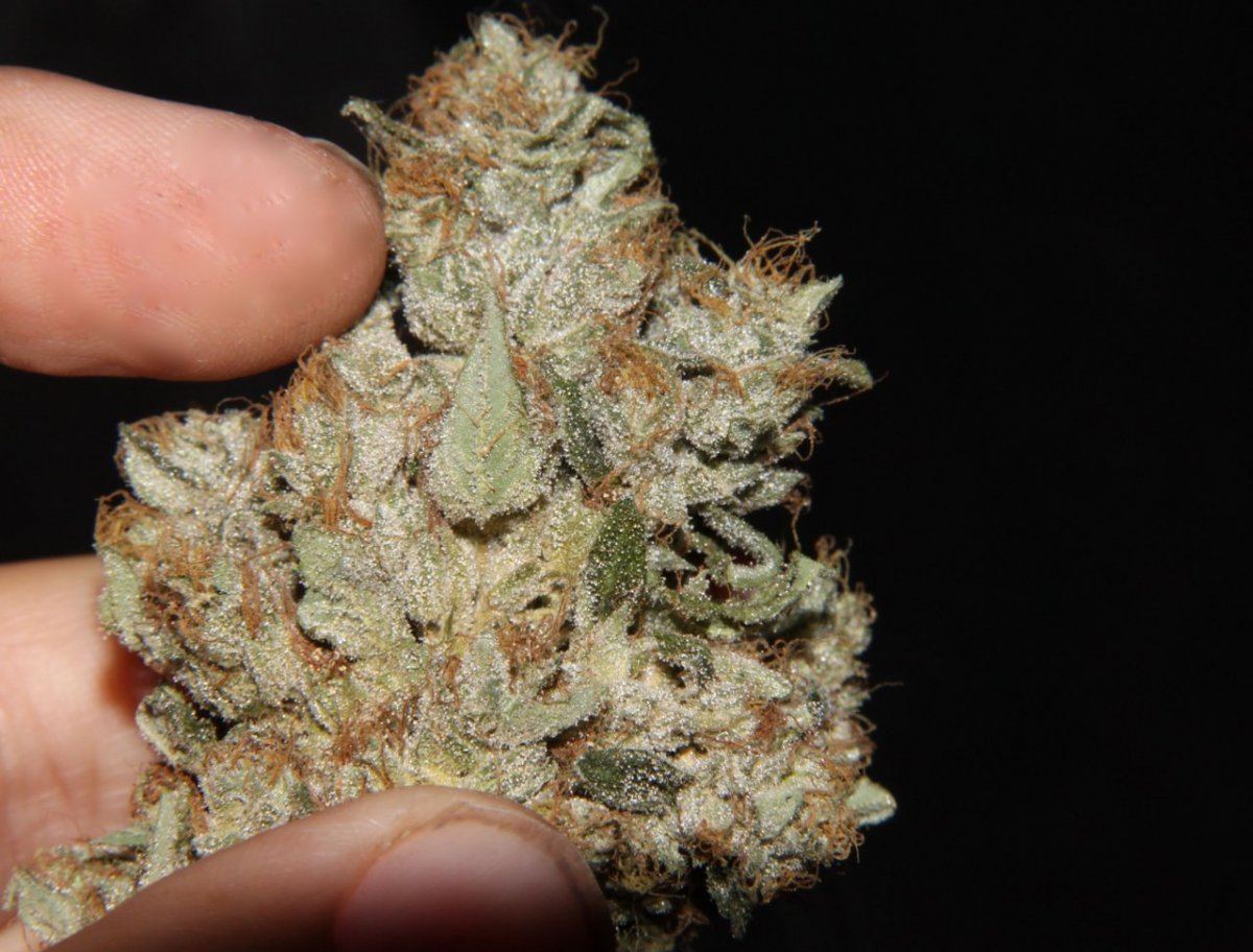 Thc2