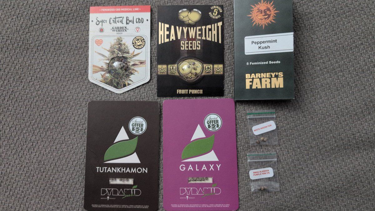 Thcosmics closet chasing the cosmic high 2