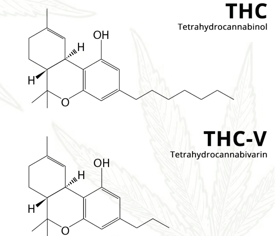 THCv
