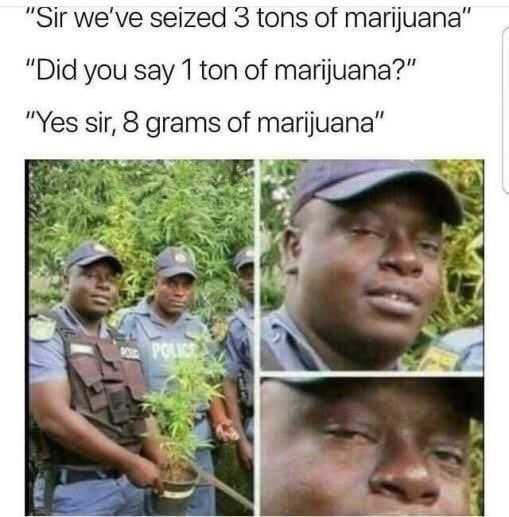Thdbwtbu3ji11