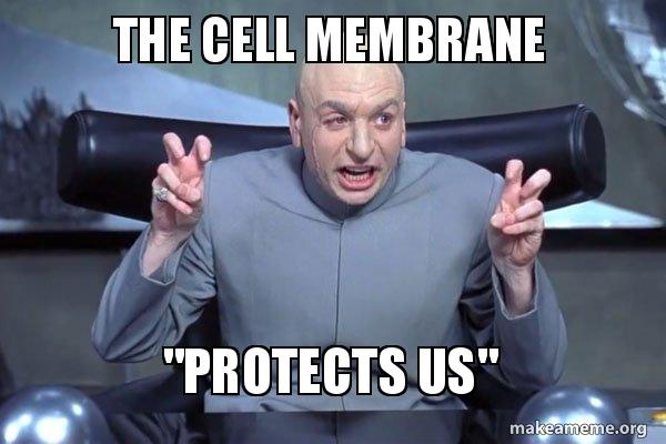 The cell membrane kejrbo