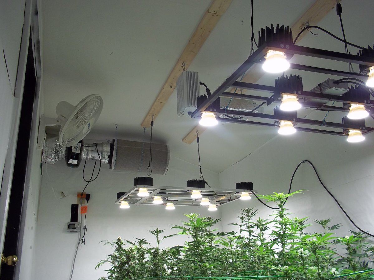 The dope shed 4