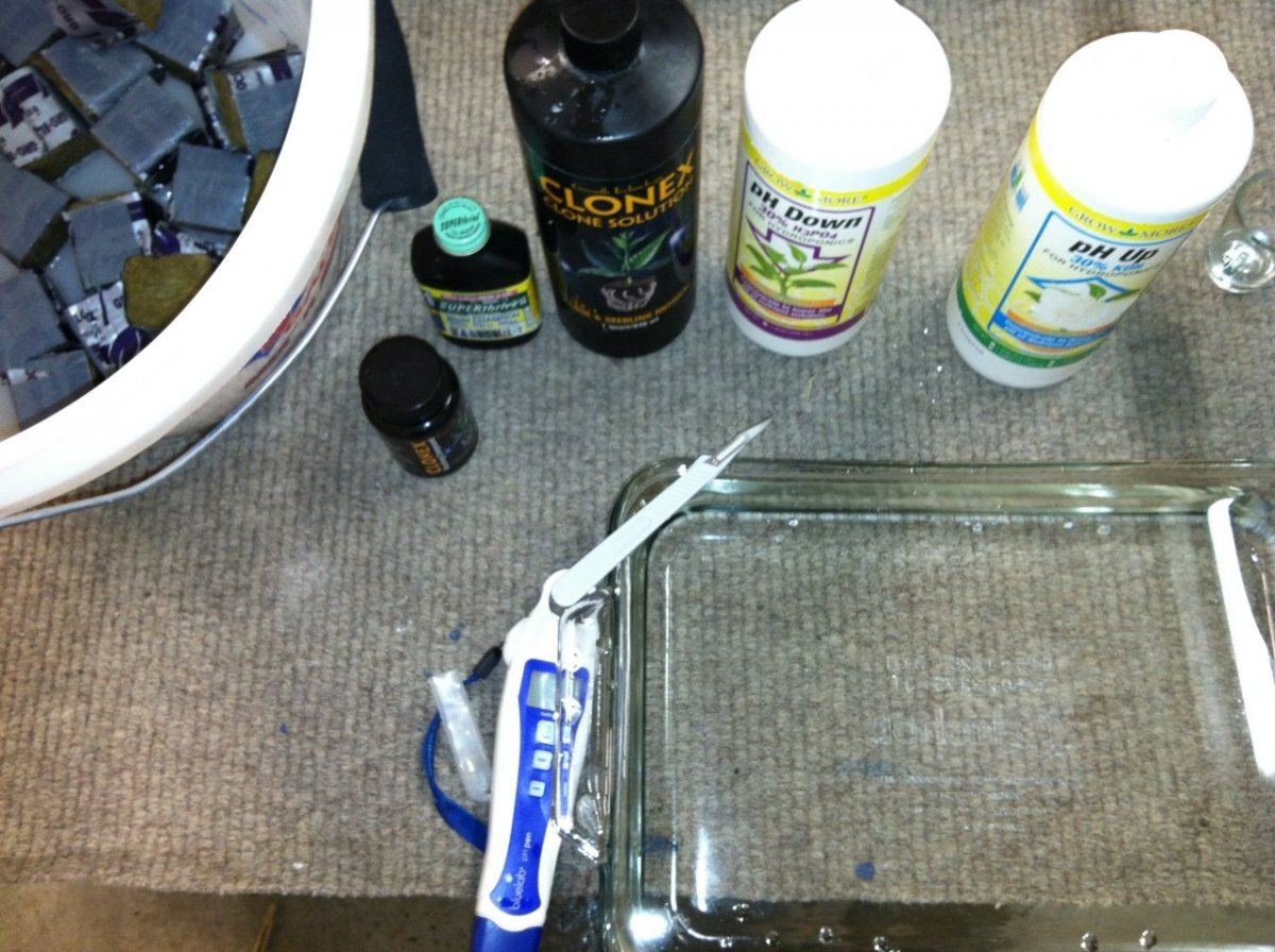 The equipment