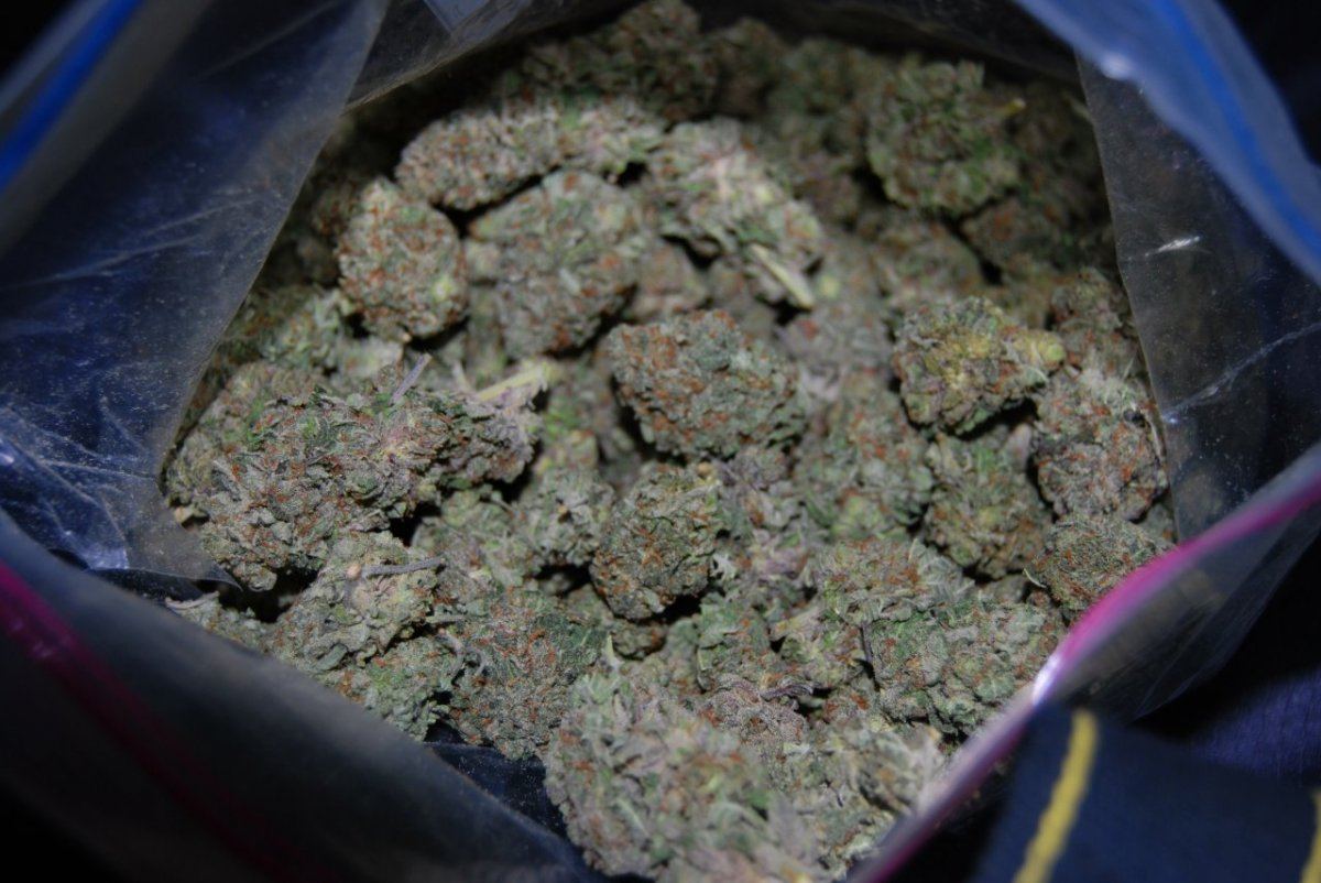 The green room 019