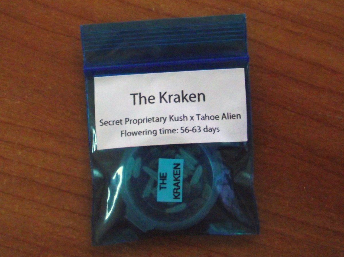 The kraken