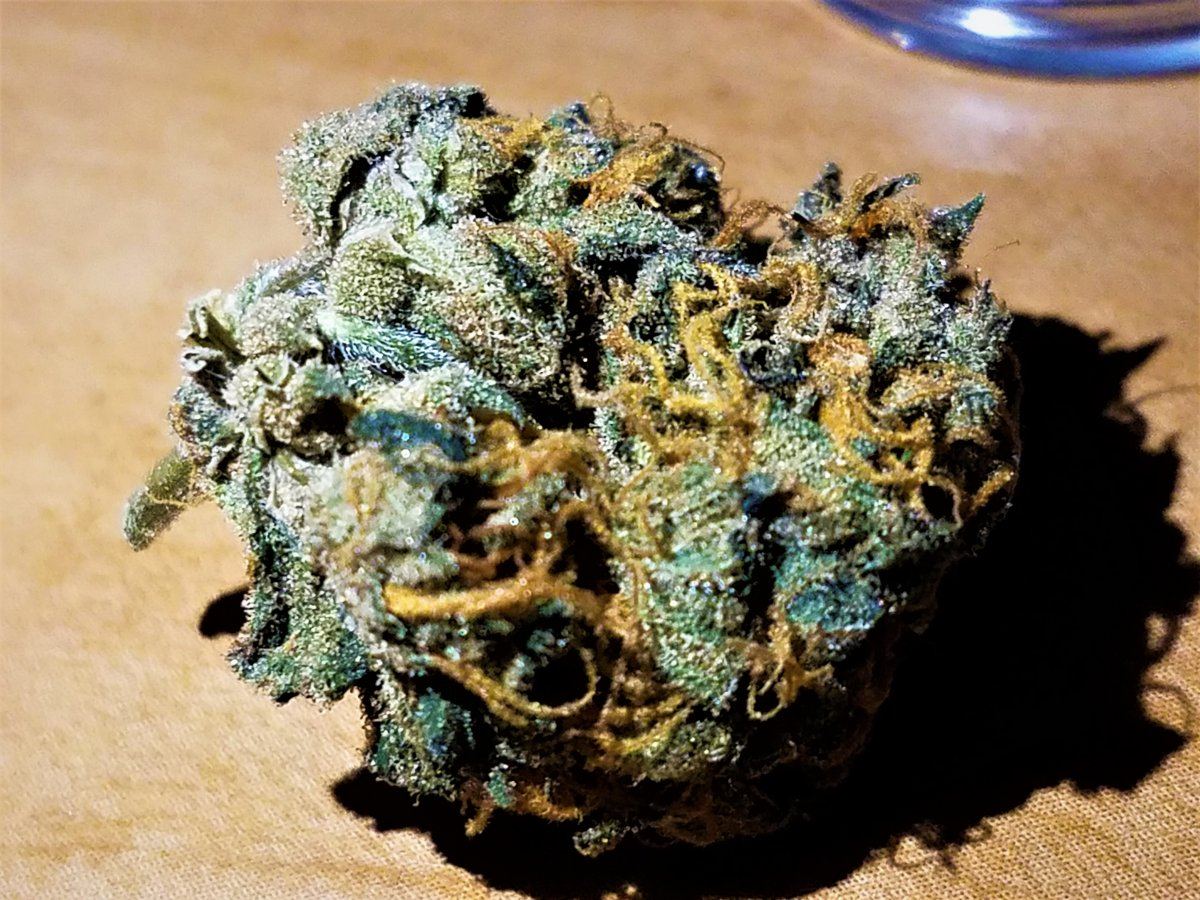 The nug of the day