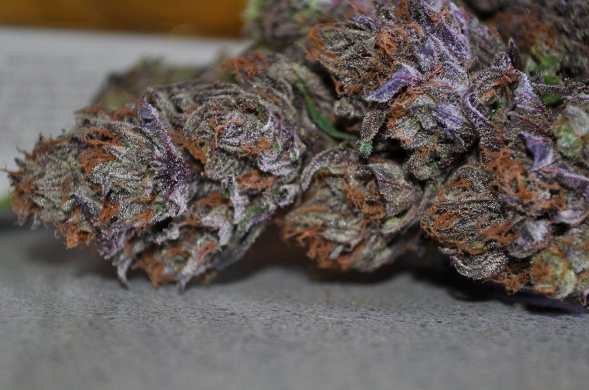 The purps 5