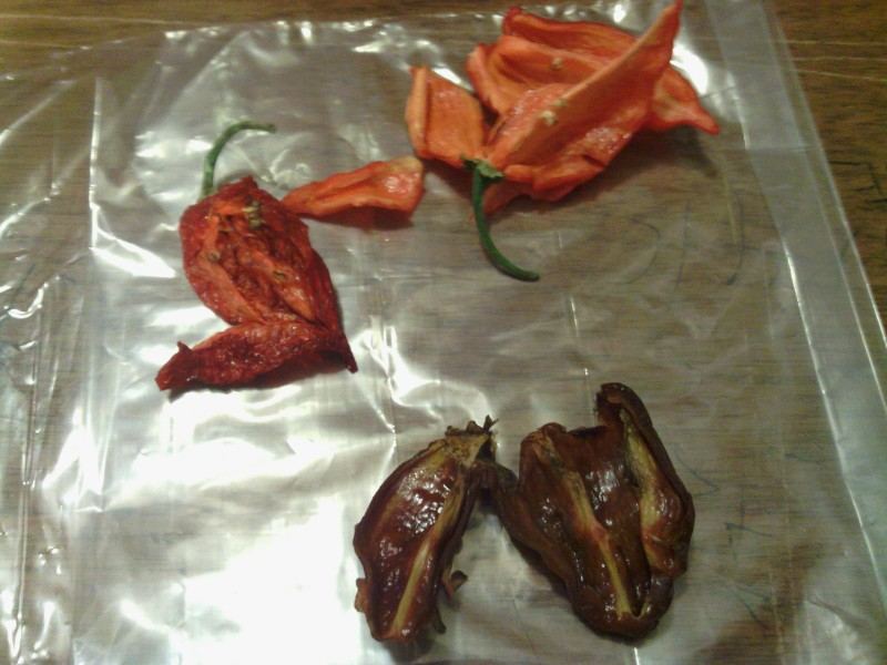 The worlds hottest peppers 4