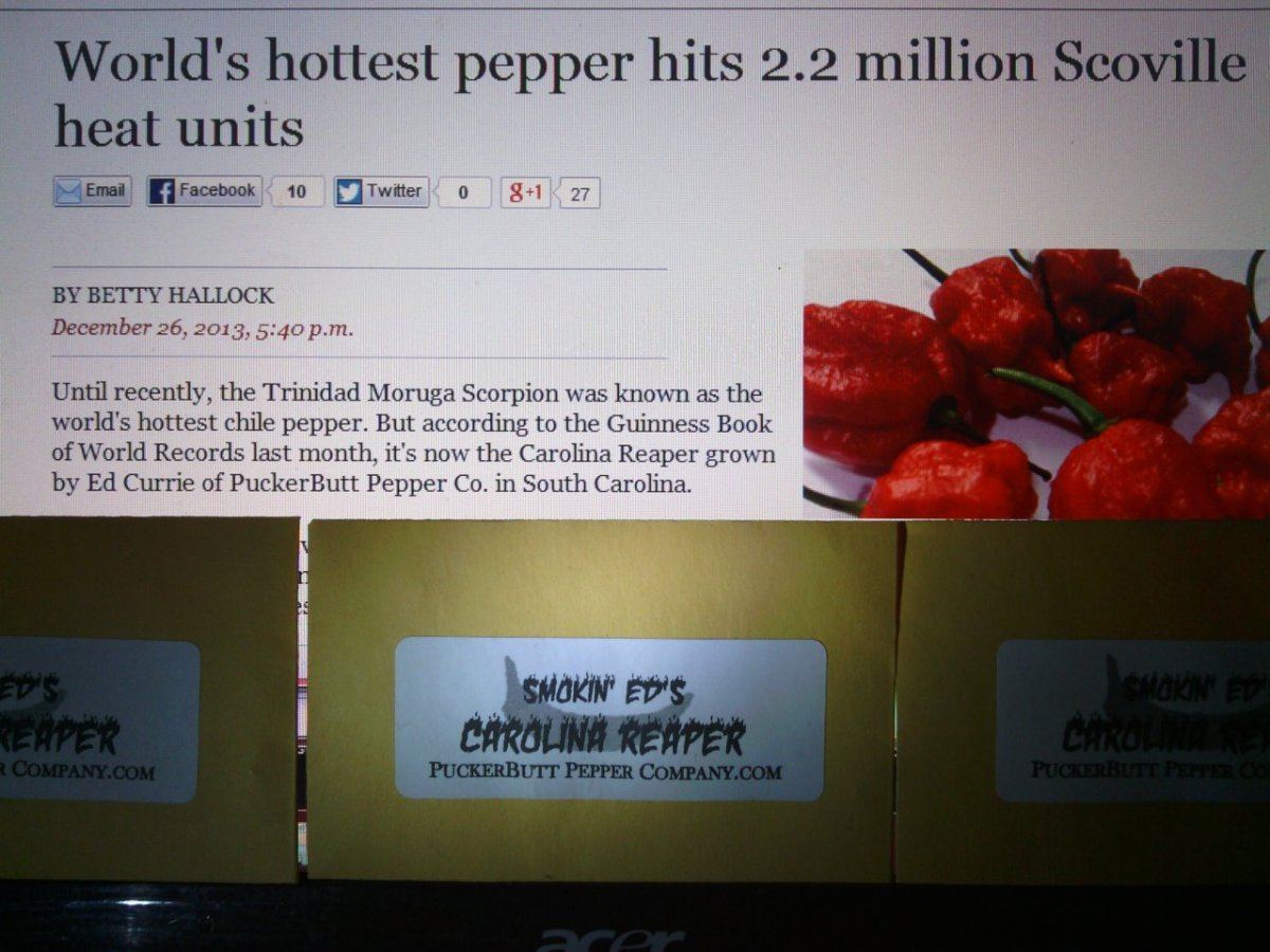 The worlds hottest peppers