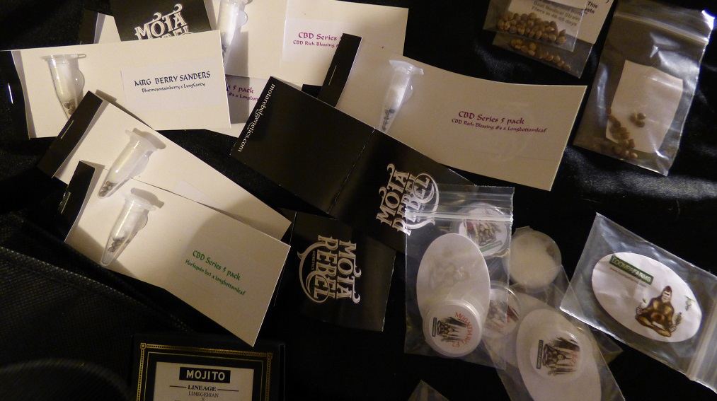 TheCBD Cup