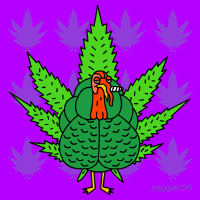 Thenug ycq1I9DFfb