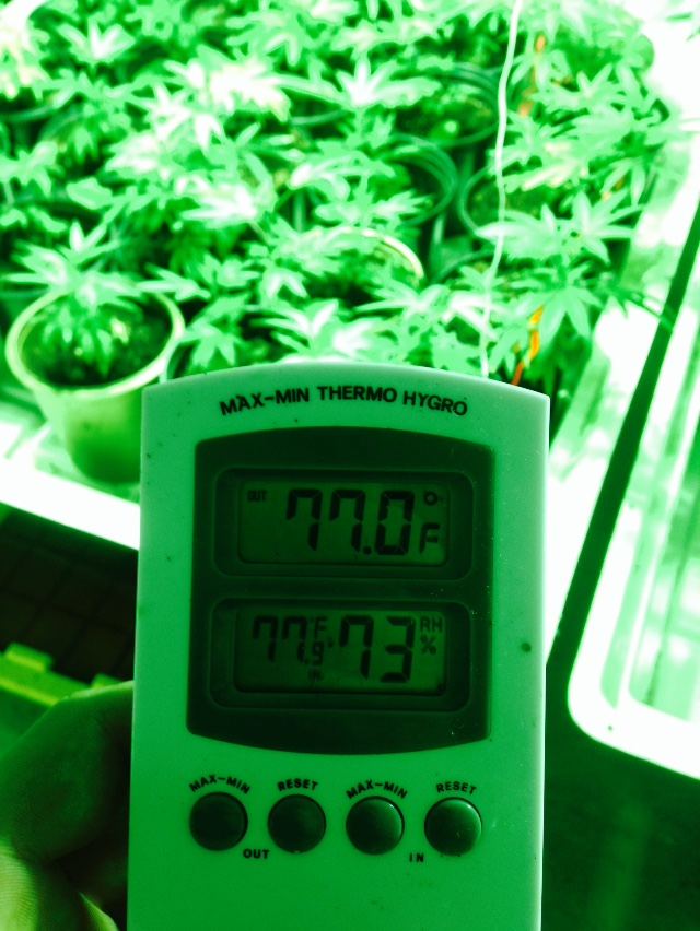 Thermometer Veg Room
