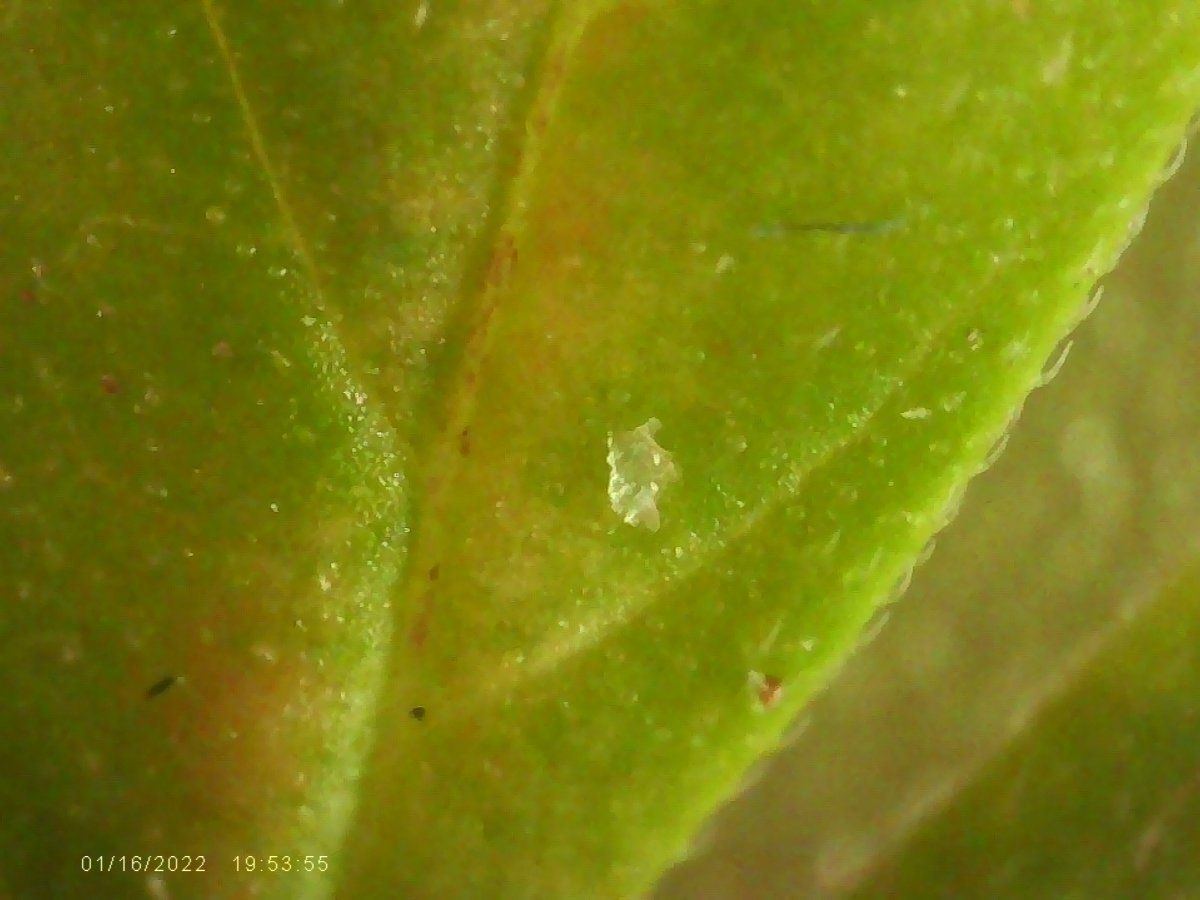 5B945A47-D7E3-41CB-AAC0-E17F0C12A599.jpeg