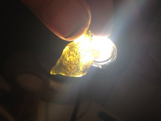 Thespice1