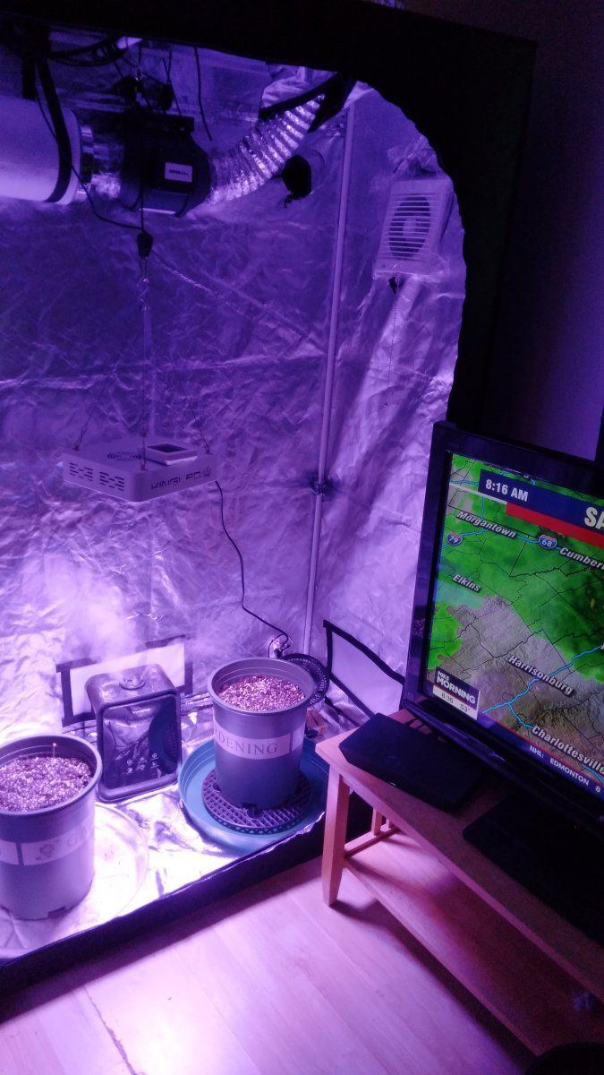 This is my grow setup