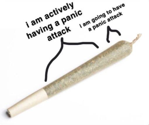 Those other new sativas