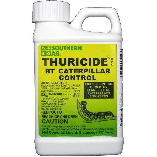 Thruaside