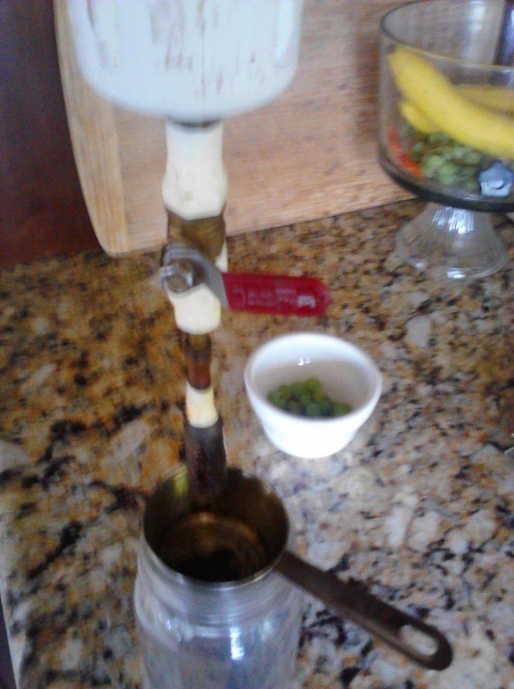 Tip1