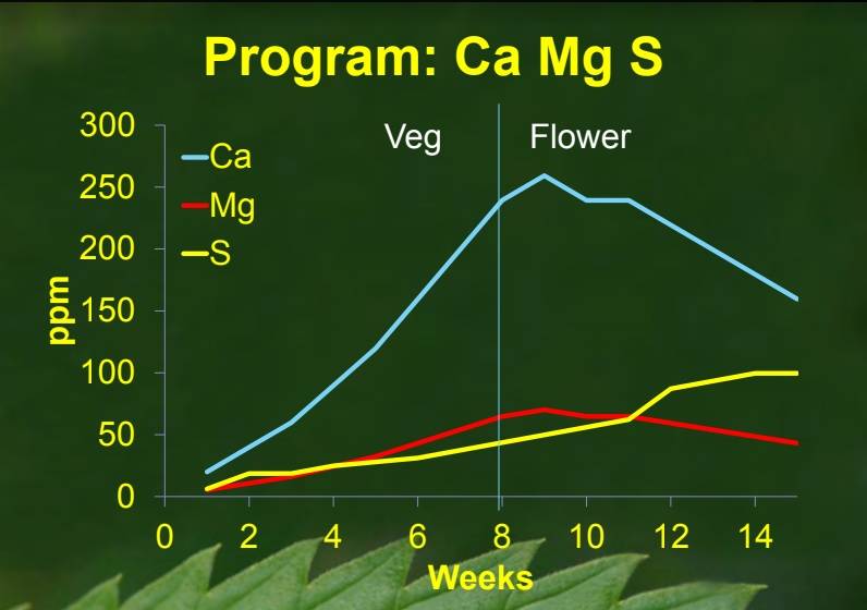 Tissue graph   Ca Mg S