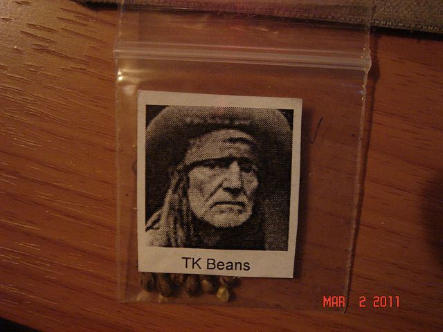 Tk beans 2